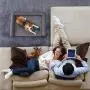 Eterish Orthopedic Dog Bed for Medium, Large Dogs, Egg-Crate Foam Dog Bed with Removable Cover, Pet Bed Machine Washable, Grey Eterish Orthopedic Dog Bed for Medium, Large Dogs, Egg-Crate Foam Dog Bed with Removable Cover, Pet Bed Machine Washable, Grey