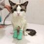 XERGUR Cat Anti-Scratch Boots, Silicone Cat Shoes Boots Rubber Nail Cover Precaution Scratch Gloves Cat Paw Protector Pet Grooming Scratching Booties for Home Bath Shave Check Treatment