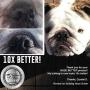 The Blissful Dog Nose Butter for Dry Dog Nose