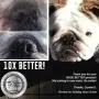The Blissful Dog Nose Butter for Dry Dog Nose The Blissful Dog Nose Butter for Dry Dog Nose