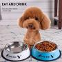 Jemirry Pet Food Bowl for Cats and Puppies, Stainless Steel Cat Bowl, Never Rust,Bowl for Small Dogs and Cats