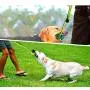 KATONGPET Dog Rope Toys 7 Pack - Toy for Pets, Puppy Teething Sturdy Cotton Chew Tug Ropes Indoor/Outdoor, Exercise Interactive Toys Set for Small-Medium Dogs KATONGPET Dog Rope Toys 7 Pack - Toy for Pets, Puppy Teething Sturdy Cotton Chew Tug Ropes Indoor/Outdoor, Exercise Interactive Toys Set for Small-Medium Dogs