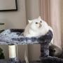 FEANDREA Cat Tree, Cat Tower House, Scratching Posts, 47.2 Inches