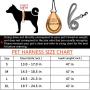 Wealer Dog Harness,The Most Easy to Control Adjustable Dog Harness and Leash Set,No Pull Breathable Soft Air Mesh Dog Vest Harness for Small and Medium Dogs…