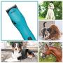 Wahl Professional Animal KM10 2-Speed Brushless Motor Pet, Dog, and Horse Clipper Kit