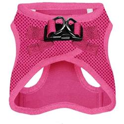 Best Pet Supplies Voyager Step-in Air Dog Harness - All Weather Mesh, Step in Vest Harness for Small and Medium Dogs, Fuchsia (Matching Trim), L (Chest: 18-21'') (207-FSW-L)