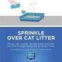 Fresh Step Cat Litter Crystals in Summer Breeze | Cat Litter Box Deodorizer, 15 Ounces - 3 Pack, Deodorizing