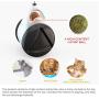 Ikebana Cat Toys for Indoor Cats, Catnip Balls and Cat Wand Can be Used Interchangeably, Stimulate The Hunting Characteristics of Cats/Kittens and Enhance Their Agility