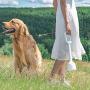 REDMINUT Dog Pooper Scooper for Large and Small Dogs,Portable Long Handle Pooper Scooper with Waste Bags Dispenser,High Strength Material,Great for Lawns Pick Up