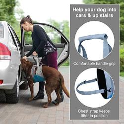 Kurgo Up and About Dog Lifter for Support – Pet Lift Harness Helps Elderly & Disabled Dogs