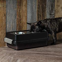 IRIS USA Elevated Feeder with Airtight Storage