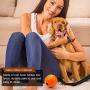 Skylety 4 Pieces Dog Ball on a Rope Interactive Dog Training Ball Dog Toy Ball on a Rope Reward and Exercise Toy for Small Medium Large Dog Fetching, Catching, Throwing and Tugging