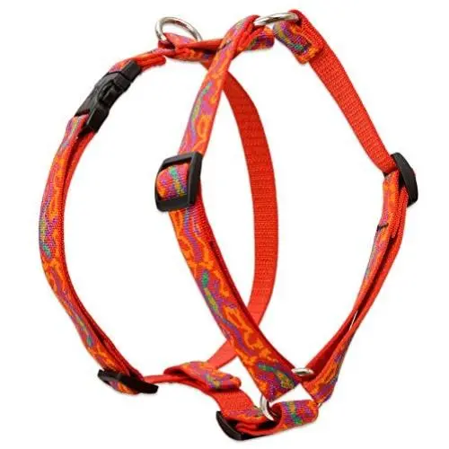 Lupine 3/4'' Go Go Gecko Roman Dog Harness for Small to Medium Dogs Lupine 3/4'' Go Go Gecko Roman Dog Harness for Small to Medium Dogs