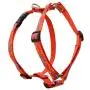 Lupine 3/4'' Go Go Gecko Roman Dog Harness for Small to Medium Dogs Lupine 3/4'' Go Go Gecko Roman Dog Harness for Small to Medium Dogs