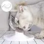Songchet Dog and Cat Bowl 0°15°20°Adjustable Tilted Anti-Slip Mute Cat Food Bowl/Cat Water Bowl/Cat Feeding Bowl Multi-use Cat Dish Reduce Pets Neck Pain for Cats and Small Dogs Songchet Dog and Cat Bowl 0°15°20°Adjustable Tilted Anti-Slip Mute Cat Food Bowl/Cat Water Bowl/Cat Feeding Bowl Multi-use Cat Dish Reduce Pets Neck Pain for Cats and Small Dogs