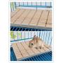 Rabbit Foot Pad Toy Small Animals Bunny Chinchilla Guinea Pig Rabbit Totoro Hedgehog Hamster Scratching Pads Antiskid Edible Natural Wood Board