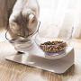 Love Dream Elevated Cat Bowls with Raised Stand, Pet Food Water Feeder Bowl, 15° Tilted Pet Bowl Stress-Free Suit for Cats Small Dogs
