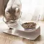Love Dream Elevated Cat Bowls with Raised Stand, Pet Food Water Feeder Bowl, 15° Tilted Pet Bowl Stress-Free Suit for Cats Small Dogs