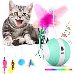 Interactive Cat Toys Ball with Colorful Light & Bird Sound - USB Charging Automatic Irregular 360 Degree Self Rotating Ball - 5 Replacement Feathers Robotic Cat Toy for Indoor Cats Kitten