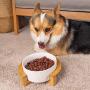 Popuava Ceramic Raised Cat Bowl, 20 Ouncus Cat Food Bowls or Water Bowls Without Lead and Chrome, Pet Bowl with Bamboo Wooden Frame not Easily Overturned, Gifts for Cats and Puppy Pink