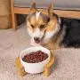 Popuava Ceramic Raised Cat Bowl, 20 Ouncus Cat Food Bowls or Water Bowls Without Lead and Chrome, Pet Bowl with Bamboo Wooden Frame not Easily Overturned, Gifts for Cats and Puppy Pink