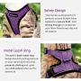 rabbitgoo Cat Harness and Leash for Walking, Escape Proof Soft Adjustable Vest Harnesses for Cats, Easy Control Breathable Reflective Strips Jacket, Purple, S(Chest: 18'' - 20'')