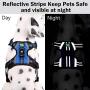 Easy Lock Dog Harness and Leash Set for Small Large Dogs Puppy Breed, Magnetic Clasp Reflective Vest with Training Leash One Hand Easily Connect