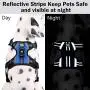Easy Lock Dog Harness and Leash Set for Small Large Dogs Puppy Breed, Magnetic Clasp Reflective Vest with Training Leash One Hand Easily Connect