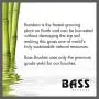 Bass Brushes | Luxury Grade Pet Brush | Shine & Condition | 100% Pure Premium Natural Bristle - Firm | Full Oval Design | Natural Bamboo Handle | Solid Finish | Bass Brushes Model #A15-DB Bass Brushes | Luxury Grade Pet Brush | Shine & Condition | 100% Pure Premium Natural Bristle - Firm | Full Oval Design | Natural Bamboo Handle | Solid Finish | Bass Brushes Model #A15-DB