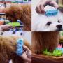 Dog & Cat Brush for Short to Medium Hair Non Metal Grooming and Deshedding Soft Silicone Brush Gently Removes Loose Hair