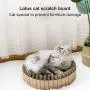 N / A DIY Cat Scratcher Cardboard Lounge Relaxing Bed, Corrugate Cat Scratcher with Durable Recycle Board, Cat Scratching Toy