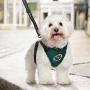 SlowTon Dog Harness, Pet Vest Harness for Dogs Safety in Car Adjustable Neck and Chest Strap Breathable Soft Fabric with Quick Release Buckle for Travel Outdoor Walking
