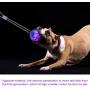ocijf179 Pet Chew Toy Pet Anti Bite Teeth Cleaner Toothbrush Dog Puppy Double Suction Cups Chew Toy - Blue + Orange