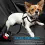 URPOWER Upgraded Dog Seat Belt 2 Pack Dog Car Seatbelts Adjustable Pet Seat Belt for Vehicle Nylon Pet Safety Seat Belts Heavy Duty & Elastic & Durable Car Seat Belt for Dogs, Cats and Pets URPOWER Upgraded Dog Seat Belt 2 Pack Dog Car Seatbelts Adjustable Pet Seat Belt for Vehicle Nylon Pet Safety Seat Belts Heavy Duty & Elastic & Durable Car Seat Belt for Dogs, Cats and Pets
