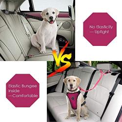 Lukovee Dog Car Seat Belt，2 Pack Headrest Restraint Seat Belt Straps, Dog Tether for Vehicle Adjustable Pet Safety Leads Elastic Bungee Backseat Leash for Dog Harness Collar Travel Daily Use