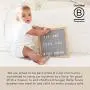 Bella Tunno Lil Hangry Wonder Bowl Bella Tunno Lil Hangry Wonder Bowl