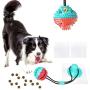 Dog Chew Toys, Puppy Interactive Toy Teething, Rope Suction Cup Dog Toy, Puzzle Treats Dispensing Ball Toy, Tug of War Toy for Medium to Small Dogs, Pet Molar Bite Toy