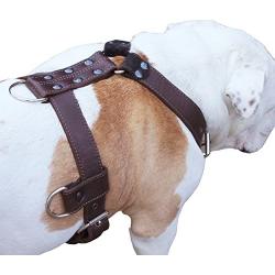 Genuine Leather Dog Harness X-Large 33''-40'' Chest, 1.3'' Wide Adjustable Straps