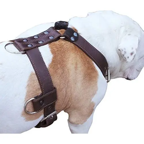 Genuine Leather Dog Harness X-Large 33''-40'' Chest, 1.3'' Wide Adjustable Straps Genuine Leather Dog Harness X-Large 33''-40'' Chest, 1.3'' Wide Adjustable Straps