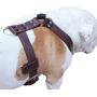 Genuine Leather Dog Harness X-Large 33''-40'' Chest, 1.3'' Wide Adjustable Straps