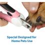 Flexzion Dog Nail Clipper - Pet Cat Toe Claw Trimmer Scissor Grooming Tool with Stainless Steel Blades File Easy Grip Handle Safety Guard to Avoid Overcutting for Small Medium Large Breed Puppy