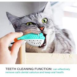 ALAIX Cat Catnip Interactive Chewing Toy, Dental Care Toothbrush for Kitten Kitty Teeth Cleaning, Leaky Food Device, Fish Shape Pet Toy - Oral Care Natural Silicone