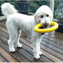 MASKOTA Dog Toys Flying Disc Ball & Rubber Ring