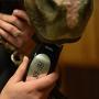 Wahl Professional Animal Pro Ion Equine Cordless Horse Clipper and Grooming Kit (#9705-100)