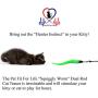 Pet Fit For Life 5 Piece Worms Teaser and Exerciser for Cat and Kitten - Cat Toy Interactive Cat Wand