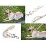 Bubblepup Dog Collar and Leash Set, Dog Collar with Leash Set Adjustable Dog Collar and Leash for Small Medium Large Dogs Bubblepup Dog Collar and Leash Set, Dog Collar with Leash Set Adjustable Dog Collar and Leash for Small Medium Large Dogs