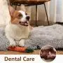 Puppy Rope Dog Toy, Non Squeaky Ball Chew Tug Toy Set for Small/Medium Breed Dog Playtime Puppy Rope Dog Toy, Non Squeaky Ball Chew Tug Toy Set for Small/Medium Breed Dog Playtime