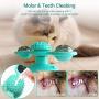 HANDSONIC Cat Toys, Interactive Cat Toy with Suction Cup Portable, Windmill Cat Toys for Indoor Cats