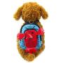 Alfie Pet - Oliga Backpack Harness with Leash Set