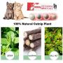 Grehod Licking Le Catnip Ball Cat Snack Toys Molar Teeth Helps Digestion Emetic Molar Teeth Teeth Rotate Catnip Balls Gall Fruit Silvervine Ball Gall Nut Ball